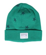 ピン(PING)ゴルフ STAR ニットキャップ HW-L2408 GN 37877