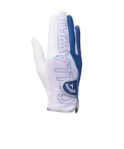 キャロウェイ(CALLAWAY)両手用 ゴルフグローブ ChevDualWMS25 5325210ChevDualWMS25NVY