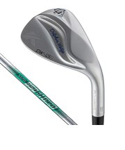 キャスコ(KASCO)DW-125G ドルフィンウェッジ(6408 ロフト64度)N.S.PRO 950GH neo