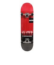 スケーター(SKATER)スケートボード スケボー 完成品 コンプリート 8インチ × 31.5 SB4031【ラッピング不可商品】