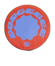 ラングスジャパン(RANGS)235エースプレー 15ドッチピー フライングディスク