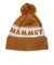 マムート（MAMMUT）ニット帽 トレッキング 登山 Peaks ビーニー 1191-01100-7511