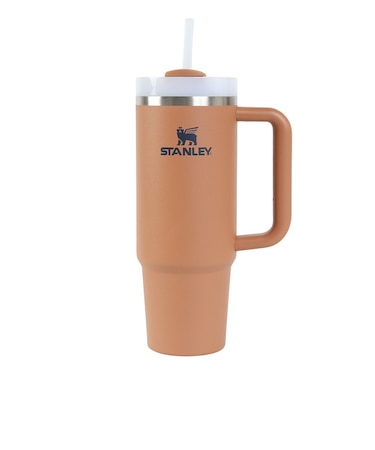 スタンレー（STANLEY）水筒 ボトル マグ H2.0 真空スリムクエンチャー 0.88L トースト 10-10829-228