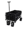 ホールアース（Whole Earth）ワゴン アウトドア STRAGE WAGON MINI HIGH WE2TDZ65 BLK