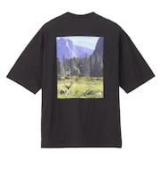 ザ・ノース・フェイス(THE NORTH FACE)半袖 Tシャツ ショートスリーブヨセミテシーナリーティー NT32436 K2 ブラック