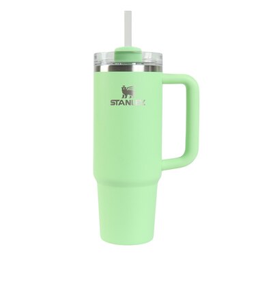 スタンレー（STANLEY）水筒 ボトル マグ H2.0 真空スリムクエンチャー 0.88L フェザー 10-11825-255