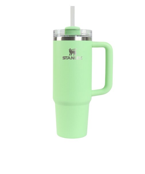 スタンレー（STANLEY）水筒 ボトル マグ H2.0 真空スリムクエンチャー 0.88L フェザー 10-11825-255