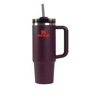 スタンレー(STANLEY)水筒 ボトル マグ H2.0 真空スリムクエンチャー 0.88L プラム 10-11825-251
