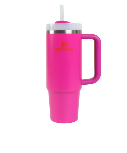スタンレー（STANLEY）水筒 ボトル マグ H2.0 真空スリムクエンチャー 0.88L ビビッド 10-10827-729