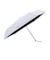 ホワイト
