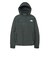 ザ・ノース・フェイス（THE NORTH FACE）ハイドレナ ウィンド ジャケット NP22550 AG