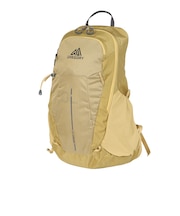 グレゴリー(GREGORY)バックパック リュック 登山 ハイキング アリオ20 157881A791