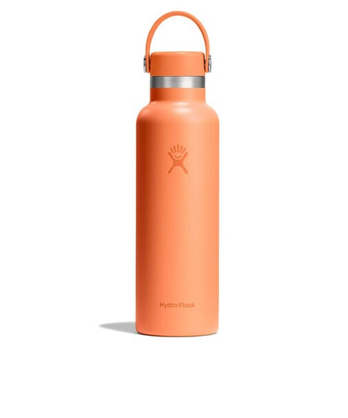 水筒 ボトル マグ 21 oz Standard Mouth 8900120161252
