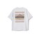ペンドルトン（PENDLETON）半袖 14オープンエンド ジャージ メンズ バックプリントTシャツ 19802183Birch