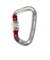 カラビナ 金具 ライトスクリュー 24K RTAMG12094N2 Red