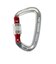 カラビナ 金具 ライトスクリュー 24K RTAMG12094N2 Red