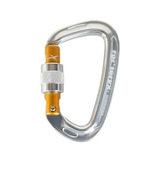 カラビナ 金具 ライトスクリュー 24K RTAMG12094N2 Gol