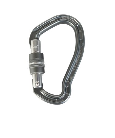 カラビナ 金具 ロック テリクス テトンスクリュー AMG11107N Sil