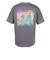 ザ・ノース・フェイス（THE NORTH FACE）ショートスリーブLDHプレゼントスタイルTシャツ NT82644 SP