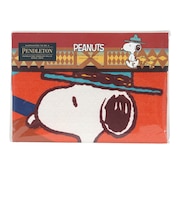 ペンドルトン(PENDLETON)PEANUTS クッションカバー 45×45cm 19806163338000