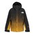ザ・ノース・フェイス（THE NORTH FACE）アウター NOVELTY MT ライトジャケット NP62650 GS