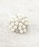 シルバー(006)
