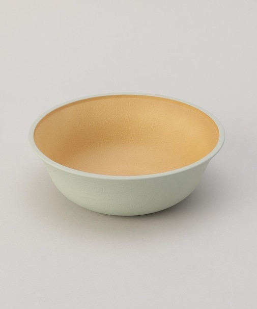 earth color 抗菌すくえる ボウル GR