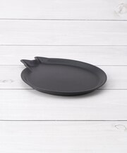 AMI DISH cat S