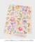 【サンリオキャラクターズ×LAURA ASHLEY】 日本製 クロミ×フレッシュフォード 注染手ぬぐい