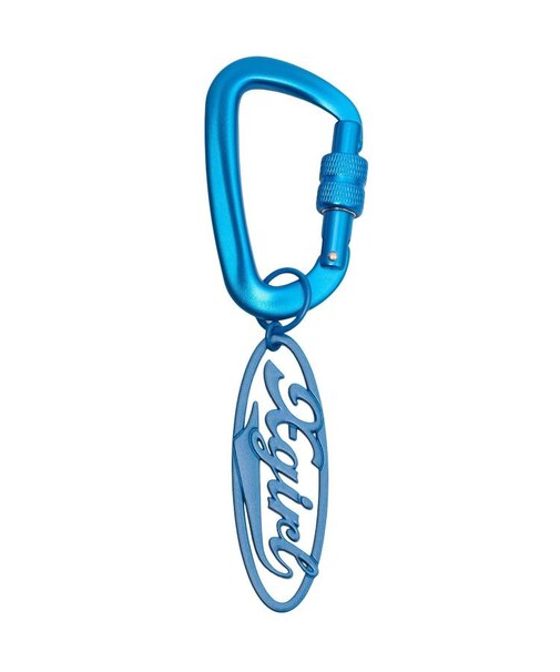 OVAL LOGO CARABINER