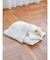 【CAT&DOG】ベビモコおふとんセットＭ