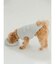 【CAT&DOG】【販路限定商品】フードボウル