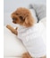 【CAT&DOG】【販路限定商品】ベビモコネップdogプルオーバー