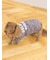 【CAT&DOG】【販路限定商品】ベビモコネップdogプルオーバー