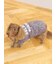 【CAT&DOG】【販路限定商品】ベビモコネップdogプルオーバー