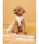 【CAT&DOG】【販路限定商品】モチーフ柄リード