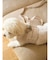 【CAT&DOG】【販路限定商品】モチーフ柄ハーネス