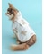 【CAT&DOG】【販路限定商品】レインポンチョ