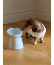 【CAT&DOG】ハイスタンドフードボウル