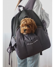 【CAT&DOG】リュックキャリー