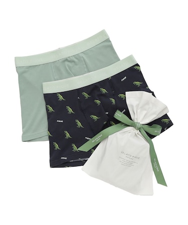 【ONLINE限定】【HOMME】ダイナソープリントボクサーパンツ