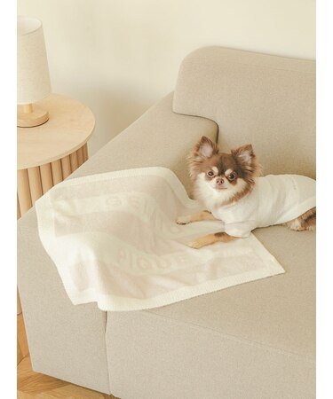 【CAT&DOG】スムーズィー2ボーダーブランケット