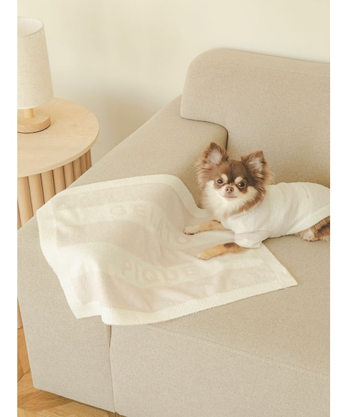 【CAT&DOG】スムーズィー2ボーダーブランケット