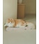 【CAT&DOG】ねこ柄つめとぎ
