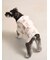 【CAT&DOG】ラージサイズレインポンチョ