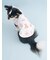 【CAT&DOG】【Birthday】バースデー柄プルオーバー