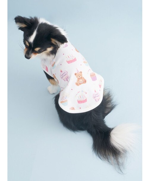 【CAT&DOG】【Birthday】バースデー柄プルオーバー