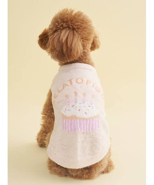 【CAT&DOG】【Birthday】スムーズィーカップケーキジャガードプルオーバー
