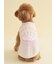 【CAT&DOG】【Birthday】スムーズィーカップケーキジャガードプルオーバー
