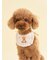 【CAT&DOG】【Birthday】スムーズィーバースデースタイ